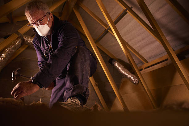 Best Residential Insulation in Whitesboro, AL